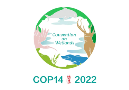 COP14大会标志公布，以中国传统玉璧为造型，内嵌四种濒危动物